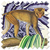 Barbados, Jungle - Roman Blind